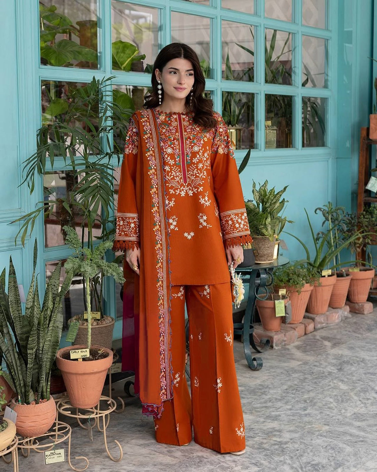 Dhanak