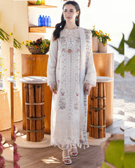 DL- Lawn Dress D- 075