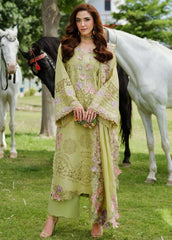 3 Piece - Unstitched Fully Embroidered Lawn Fabric DL-5002