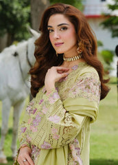 3 Piece - Unstitched Fully Embroidered Lawn Fabric DL-5002