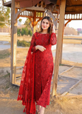 Dilkash Libas 3 Piece Organza Dress DL-1025