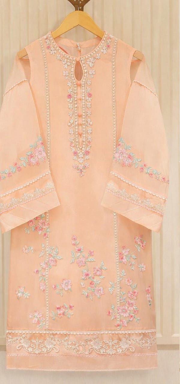 Dilkash Libas 3 Piece Wedding Collection Organza Dress DL-1024 A